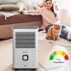 R-91310 True Ion & Air Purifier, e, web