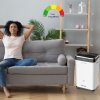 R-9725 Ionic + Air Purifier, k, web