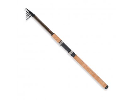 ashigari tele float