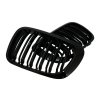 b2b central kidney grilles suitable for bmw 3 series 6001213 6089985