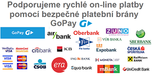 Bezpečné online platby