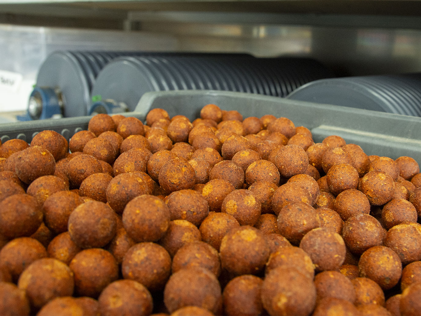 Jak na domácí výrobu boilies: Návod a osvědčený recept pro začátečníky