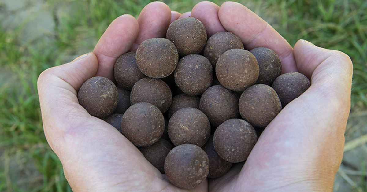 Hochwertige HNV Boilies in der Hand