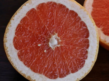 1598 grapefruit