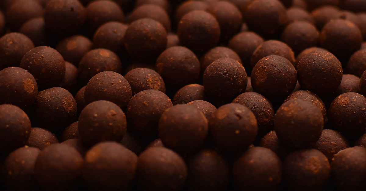 Boilies selber machen: Anleitung und das perfekte Rezept für Einsteiger