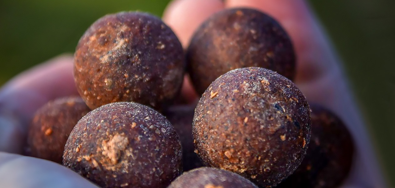 Boilies