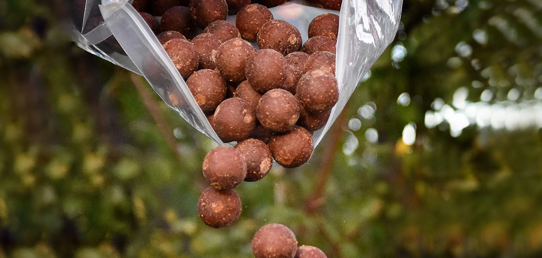 Futterboilies