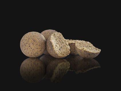 SquidOctopusBoilies9