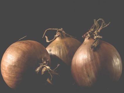 583 onion cibule esencialni olej