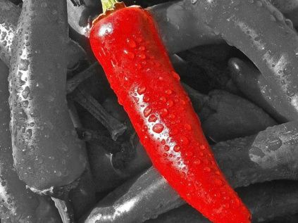 1610 oleoresin chilli