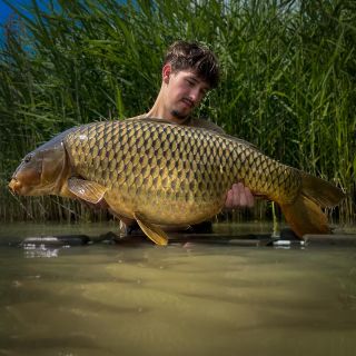 Tadeáš a jeho letní zářez na 1x24mm Krill Wafters 👏 @tvyv_carpfishing #catchandrealease #kapr #carpfishing #wafters...