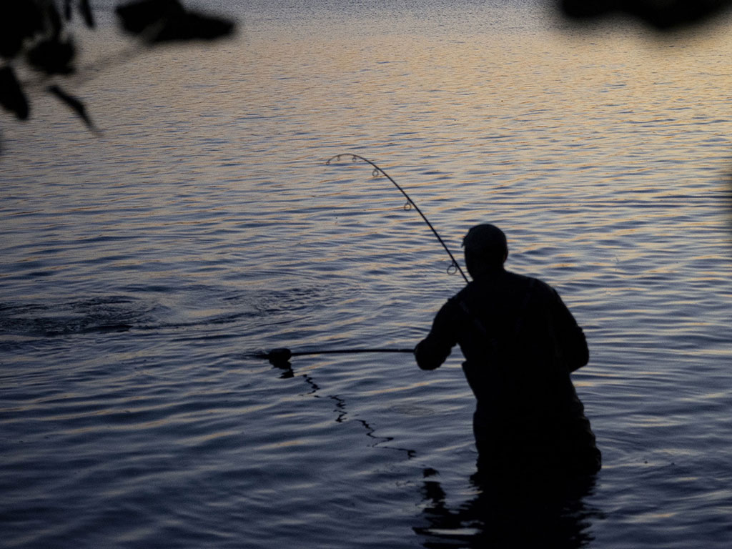 RolledBaits