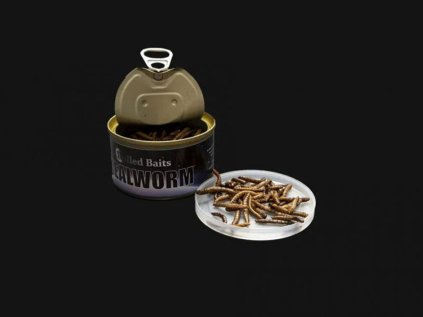 952 mealwormsmoucni cervi