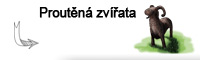 Sekce_proutena_zvirata_normal