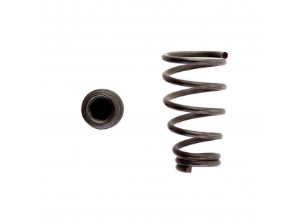 21255 vyhadzovacia pruzina a pritlacna skrutka 1 ks