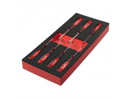 29277 penova vlozka so sadou skrutkovacou tx set 1 7ks