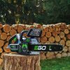 cs1611 ego 16in chainsaw 21 1203 in scene feature 6 16in bar chain.1000 750x750[1]
