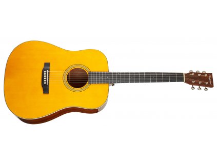 TANGLEWOOD TW40DANE