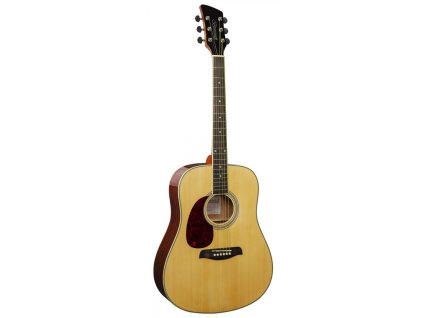 Brunswick Dreadnought BDL200 Natural LH