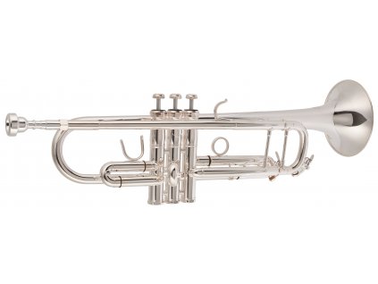 BACIO INSTRUMENTS BTR-100S
