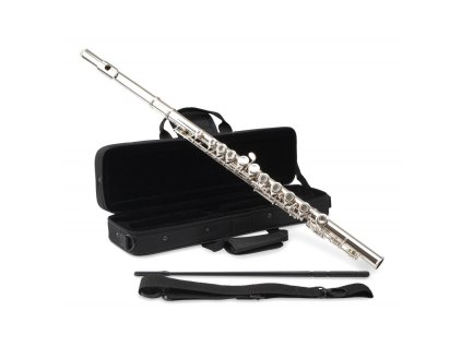 c cantabile fl 100 pricna fletna