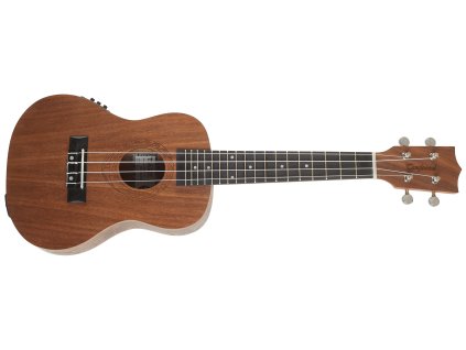 TANGLEWOOD TWT 3 E