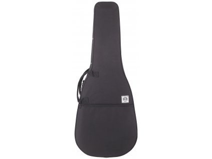 TANGLEWOOD Deluxe Hard Foam Case Folk