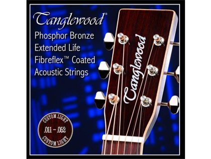 tanglewood acoustic guitar strings 11 custom light