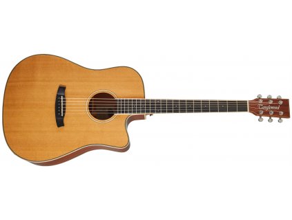 TANGLEWOOD TW5CE NA