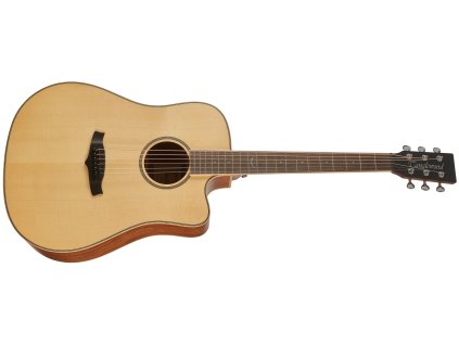 TANGLEWOOD TP5SE