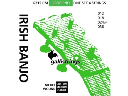 GALLI G215 CM Irish Banjo 4-String Tenor Custom Medium