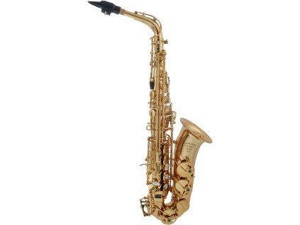 ARNOLDS &AMP; SONS AAS-301 Terra