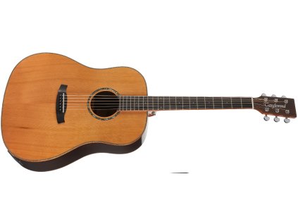TANGLEWOOD TRS5SE