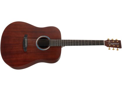 TANGLEWOOD TE5 BL