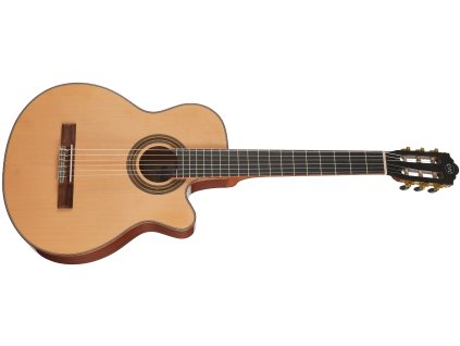 TANGLEWOOD EMDC7