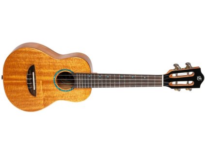 FLIGHT IRIS TINTA CONCERT NA