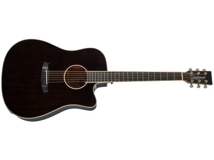 TANGLEWOOD TW5 CE BS (rozbalené)