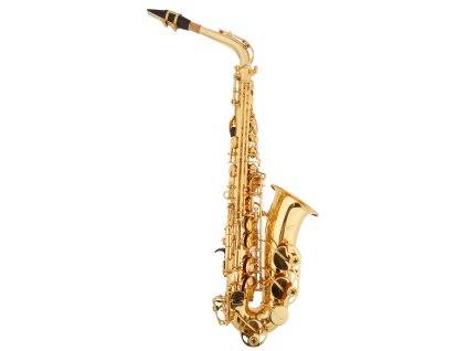 BACIO INSTRUMENTS SA-01L (rozbalené)