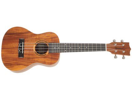 TANGLEWOOD TWT8 (rozbalené)