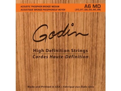 GODIN Strings Acoustic Guitar MD