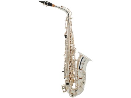 BACIO INSTRUMENTS BAS-100SG