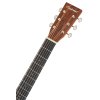 TANGLEWOOD TW40DANE