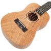 TANGLEWOOD TWT6