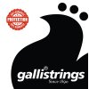 GALLI RS1059 Nickel 7-String Regular Light