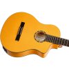 ORTEGA RCE170F