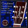 tanglewood acoustic guitar strings 11 custom light