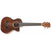 TANGLEWOOD TWT 22 E (rozbalené)