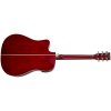 TANGLEWOOD TW5CE R