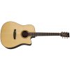 TANGLEWOOD TJ5CE