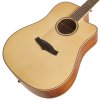 TANGLEWOOD TP5SE